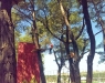 Antalya Gençlik Spor Müdürlüğü Duacı Gençlik Kampı; Macera Parkı